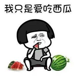 娱乐圈吃瓜走向是什么